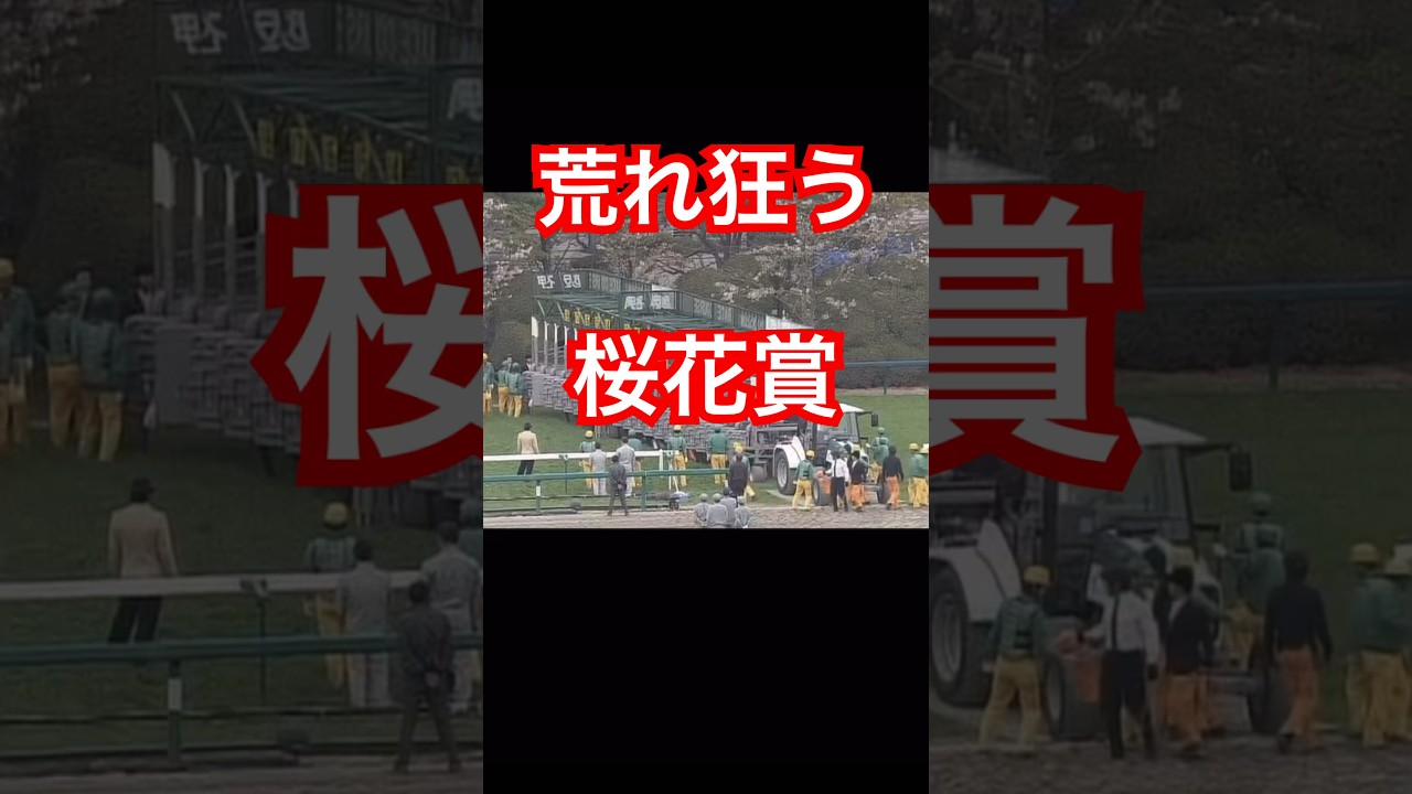札束舞い散る桜花賞#shorts#桜花賞#万馬券