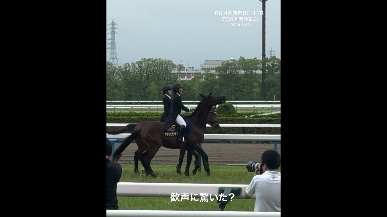 第65回宝塚記念の誘導馬 シベリアンスパーブ、マテンロウボス、クロンターフ、アドマイヤポラリス、リーゼントロック