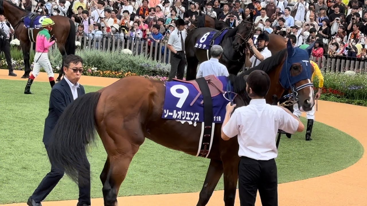【宝塚記念2024パドック】ドウデュース、ジャスティンパレス、ブローザホーン他