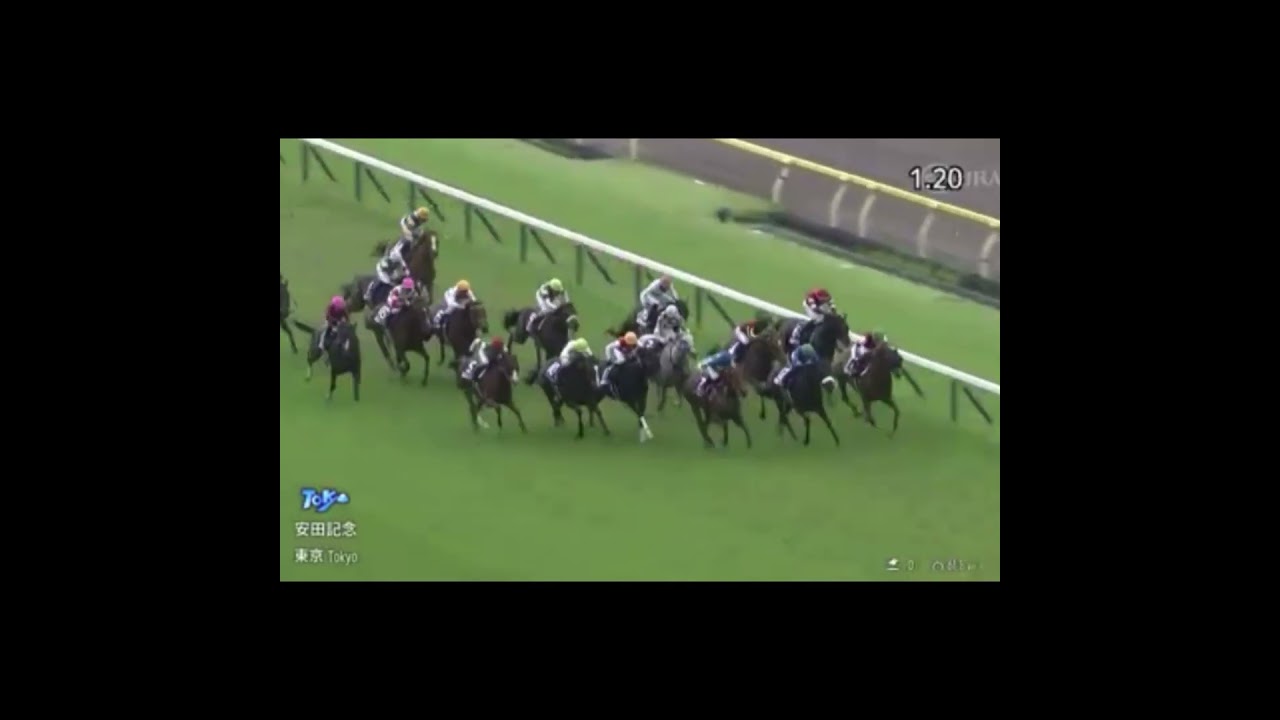 安田記念(2024) 7 ロマンチックウォリアー