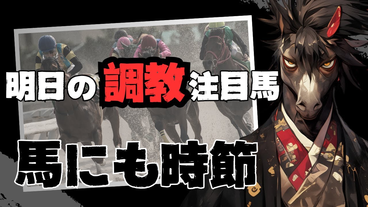 【馬にも時節】中山10R 中山大障害 2024年も残り少ないので障害レースと調教の狙い目を改めて紹介【明日の調教注目馬】
