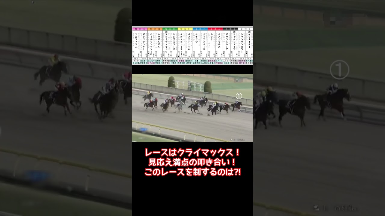 【競馬】フェブラリーS2024に園田の至宝イグナイター登場