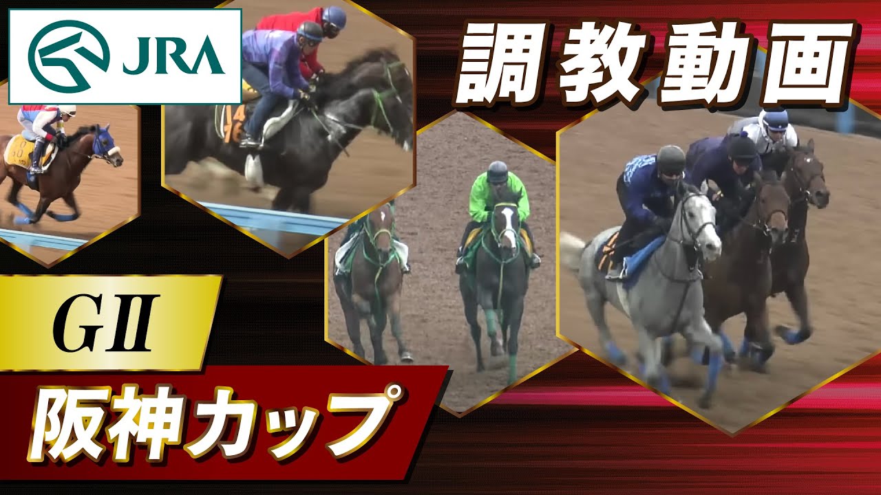 【調教動画】2024年 阪神カップ｜JRA公式