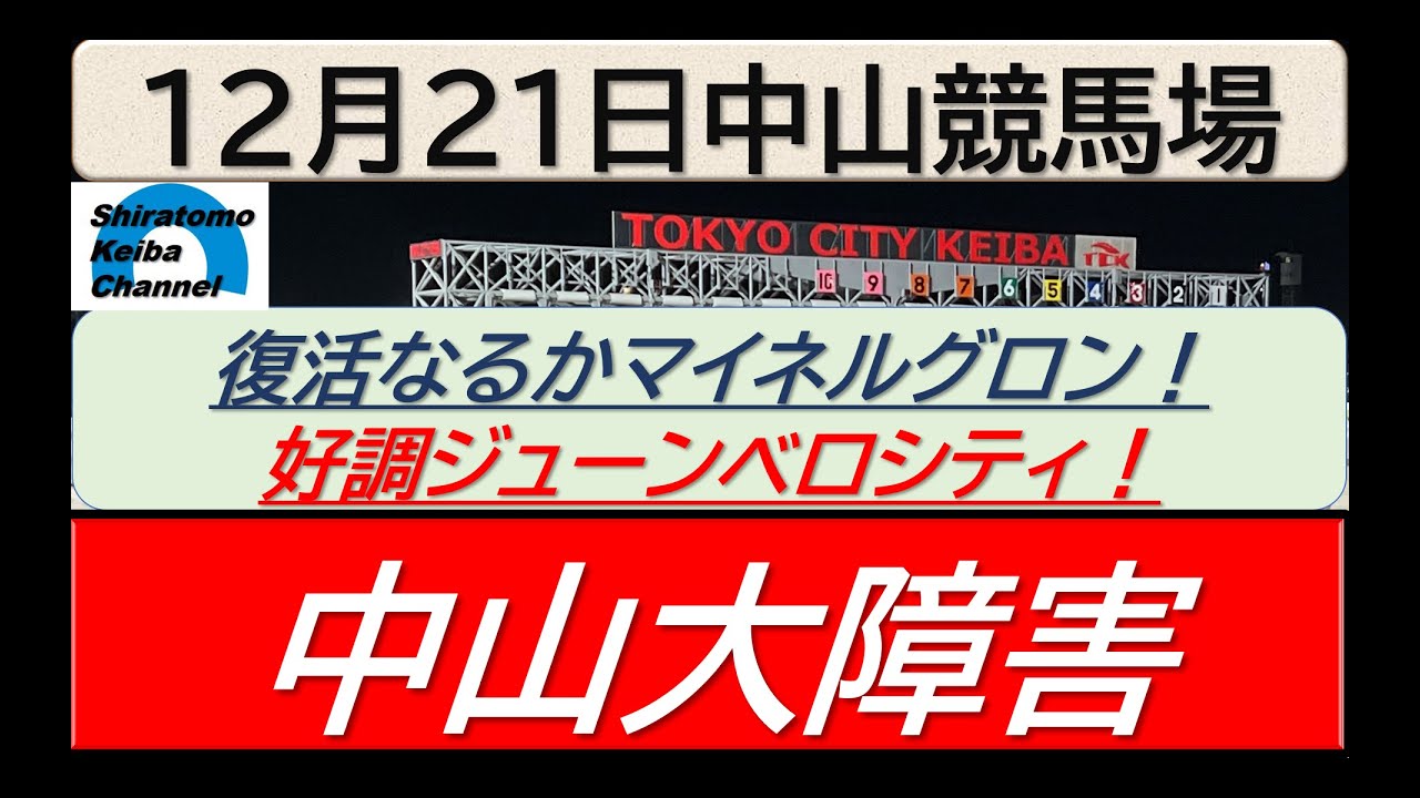 【競馬予想】JGⅠ中山大障害！～２０２４年１２月２１日 中山競馬場 ：１２－２０