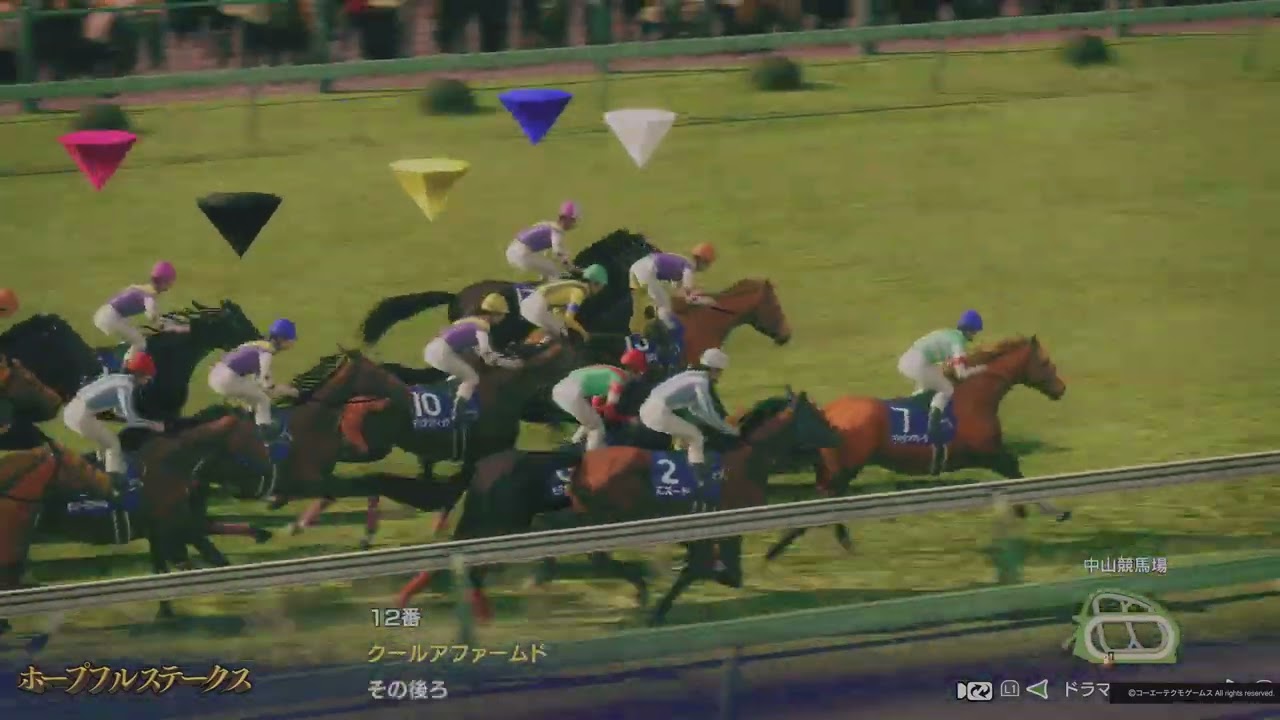 1991年 ホープフルステークス