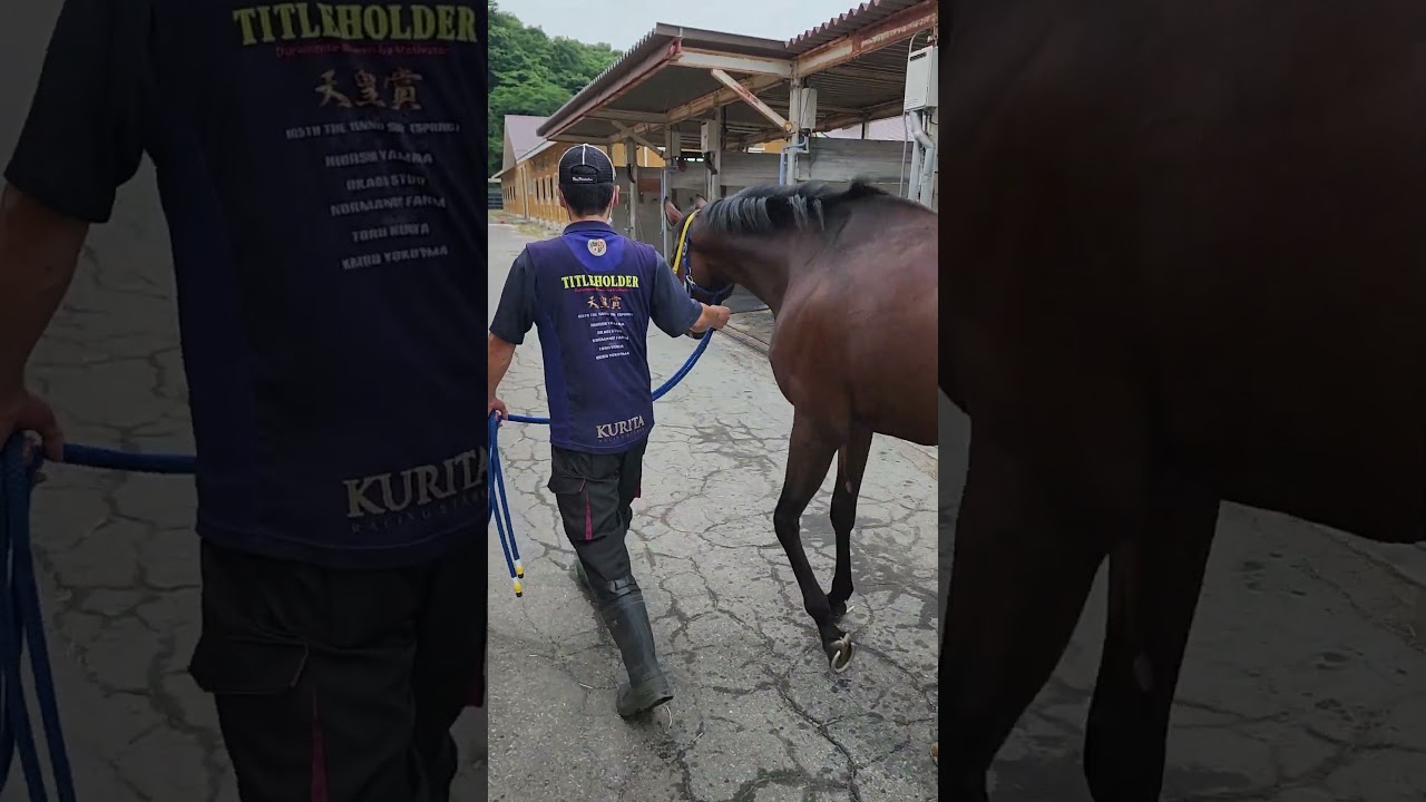 ブローザホーン 宝塚記念を終えて小野町分場での様子 #shorts