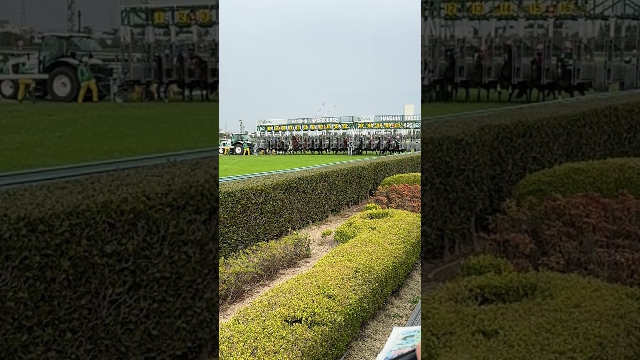 大阪杯 現地動画
