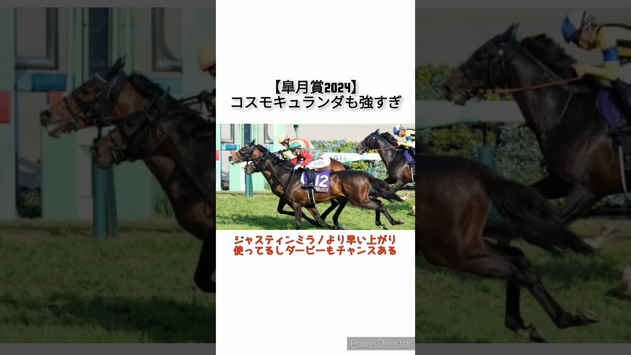 【皐月賞2024】コスモキュランダも強すぎ　 #競馬