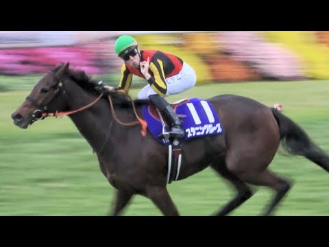 【エリザベス女王杯2024】C.デムーロ騎手がスタニングローズ復活Vへ導く‼ ウィニングランと生ファンファーレ付き 現地映像