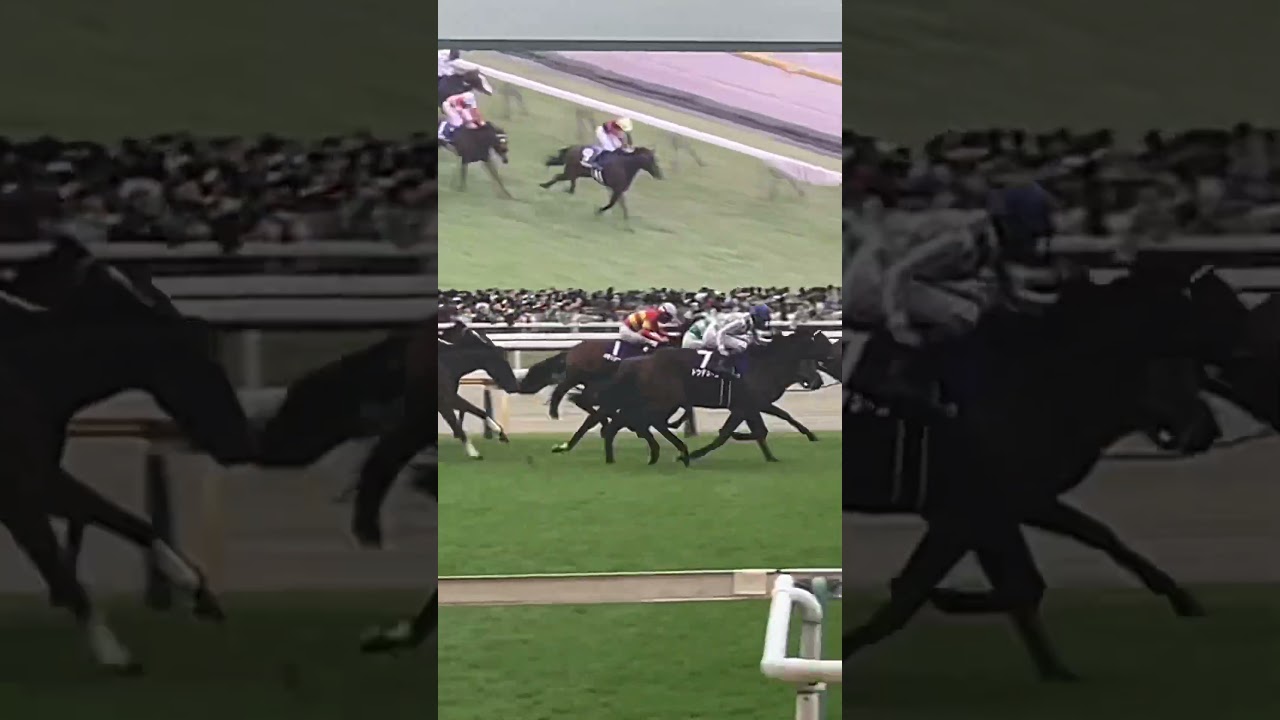 【現地映像】天皇賞・秋（2024年）ドウデュースと武豊騎手　最後の直線　#天皇賞秋 #天皇賞秋2024 #武豊　#ドウデュース