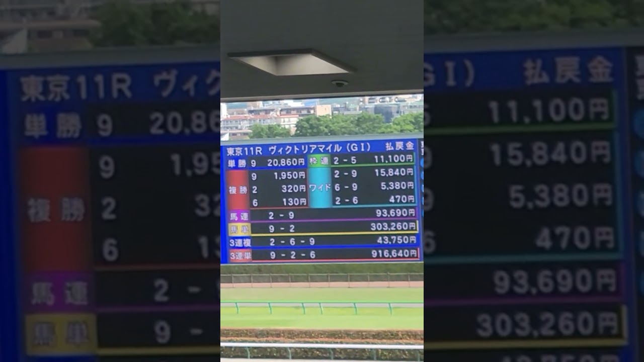 単勝2万円の決着に…ヴィクトリアマイル(GⅠ)