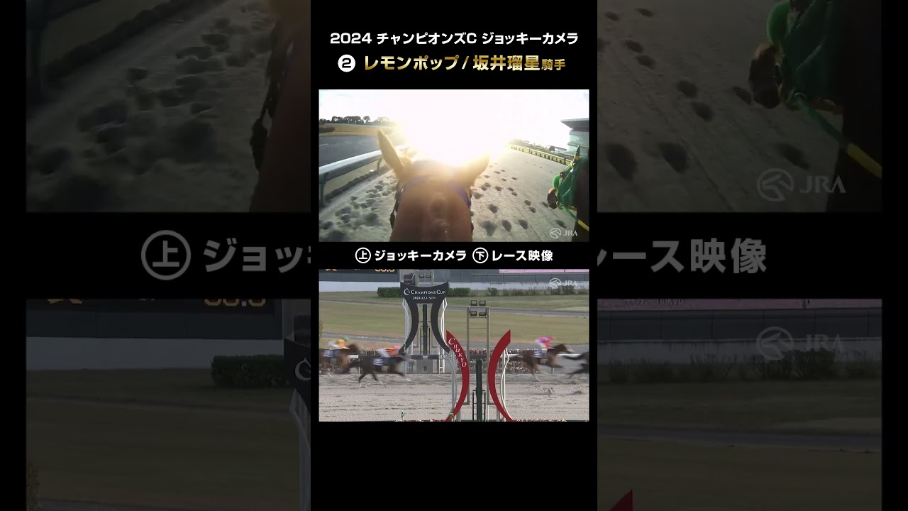 【ジョッキーカメラ×レース映像】2024年 チャンピオンズカップ レモンポップ 坂井瑠星騎手 #shorts ｜JRA公式