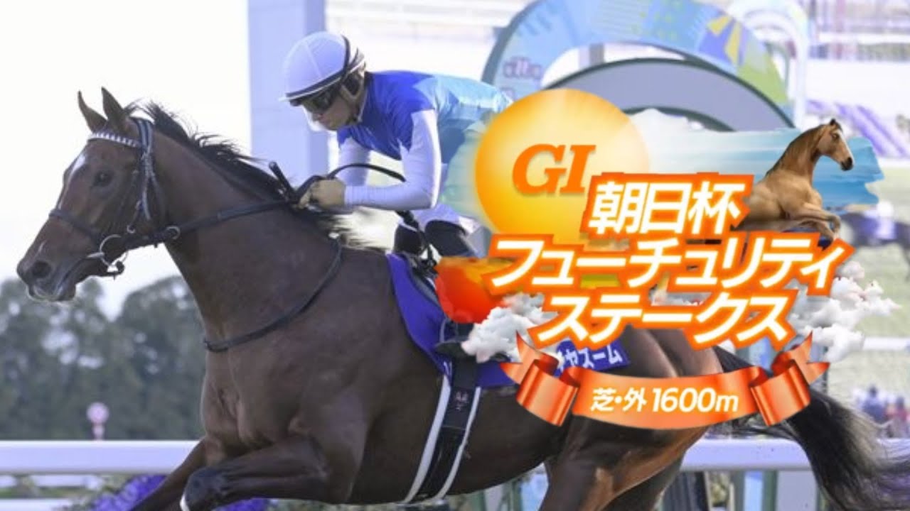 【競馬】2024年 第76回朝日杯フューチュリティステークス(GⅠ)【アドマイヤズーム / 川田将雅】