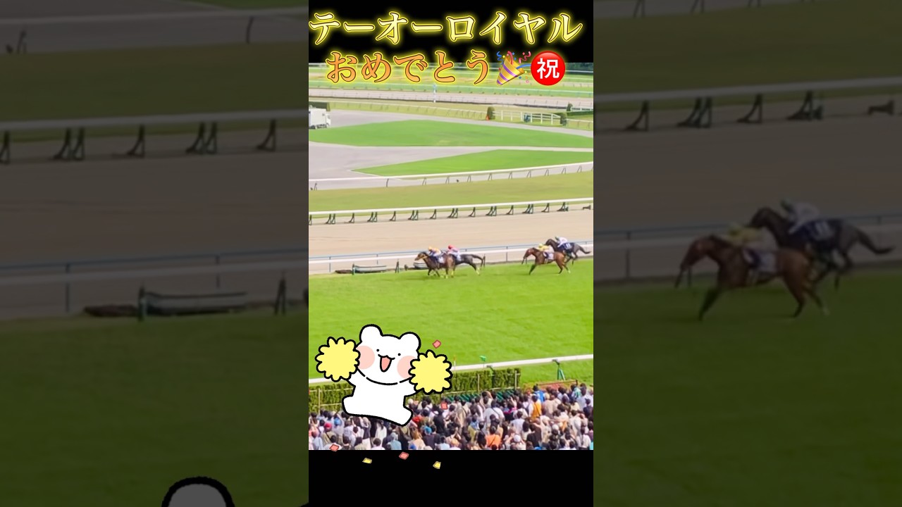 2024天皇賞春☘️ロイ君🐴強い🤣✨ #京都競馬場 #天皇賞春2024 #京都観光 #テーオーロイヤル #菱田祐二#ロイ君