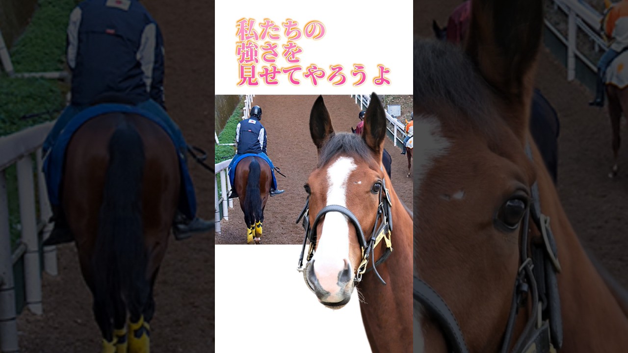 悔しさはいつか〜安田記念'24 #ナミュール #ソウルラッシュ #競馬