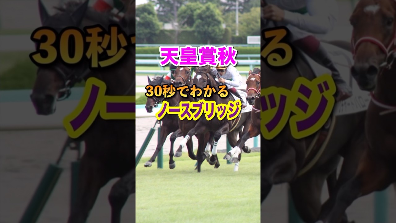 【天皇賞秋2024】30秒でわかるノースブリッジ