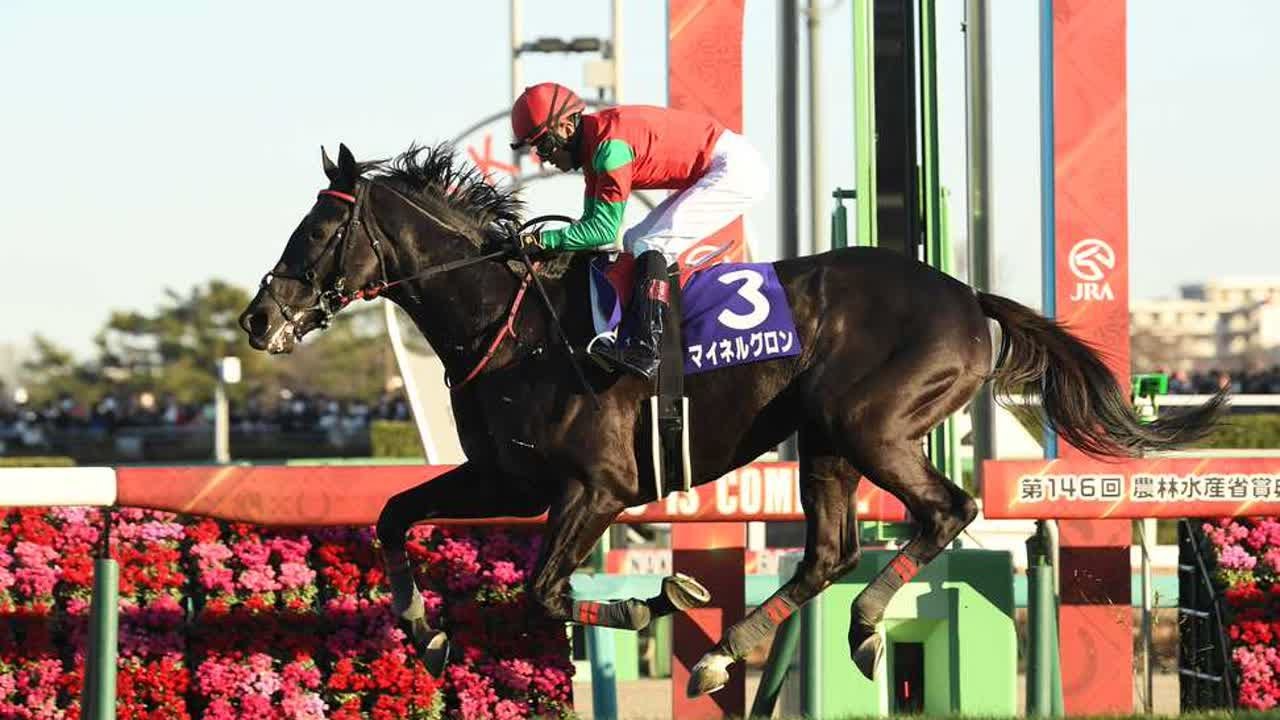 【中山大障害】レース展望｜競馬ニュース｜競馬予想のウマニティ