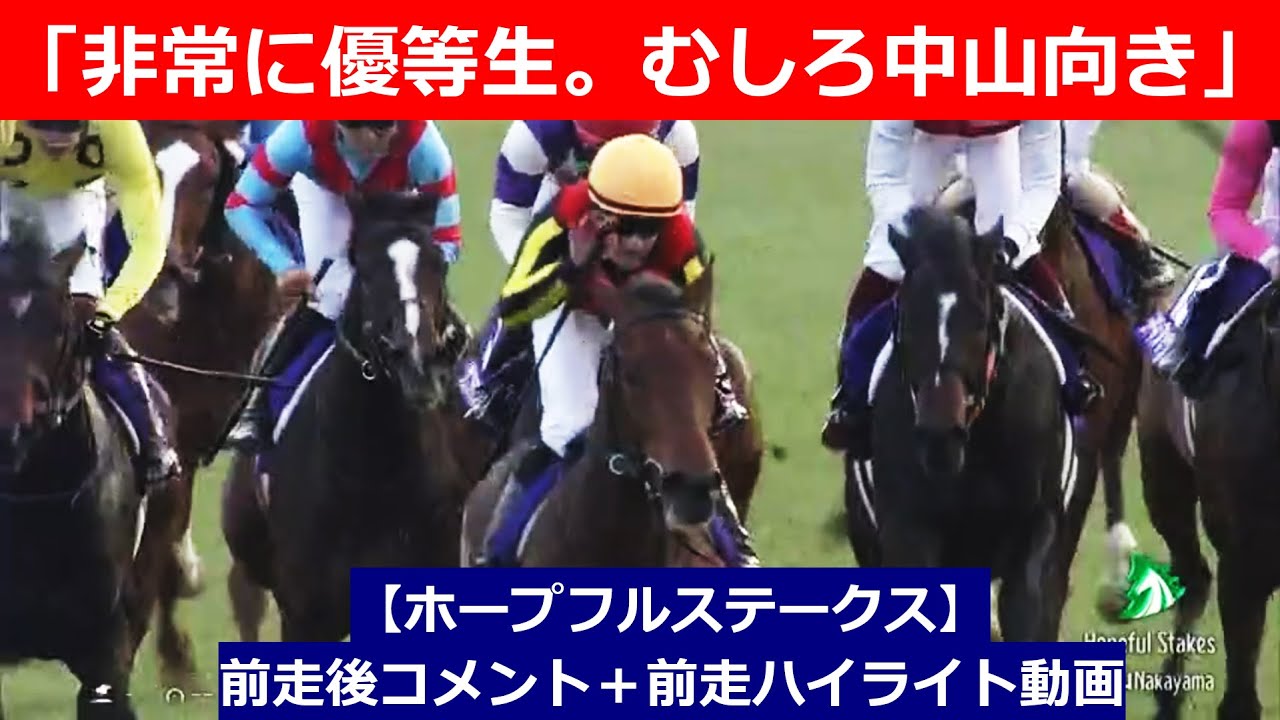 推奨馬⑤頭！【ホープフルステークス　2024】前走後騎手コメント＋過去レースハイライト