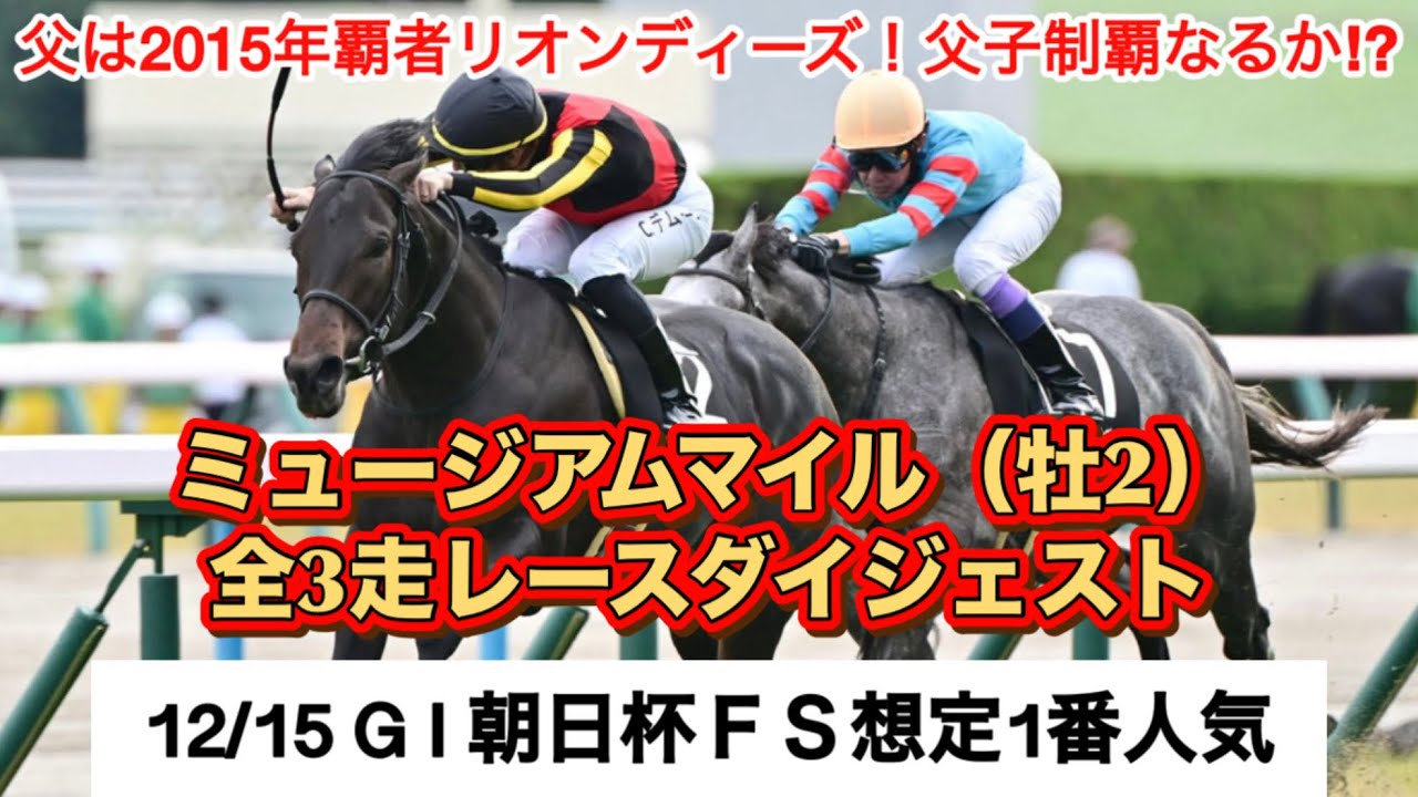 【ミュージアムマイル】12/15GⅠ朝日杯FS想定1番人気馬！全3走レースダイジェスト