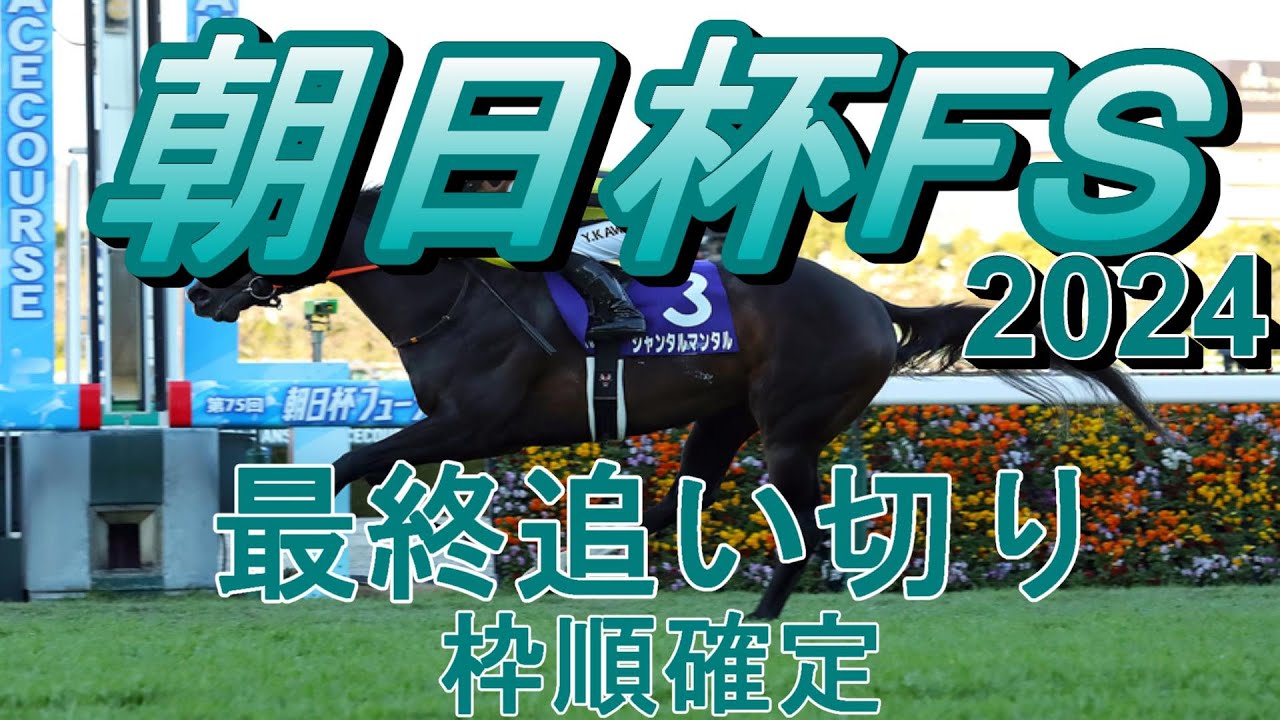 【朝日杯フューチュリティステークス2024】第76回朝日杯フューチュリティステークス最終追い切り（枠順確定）