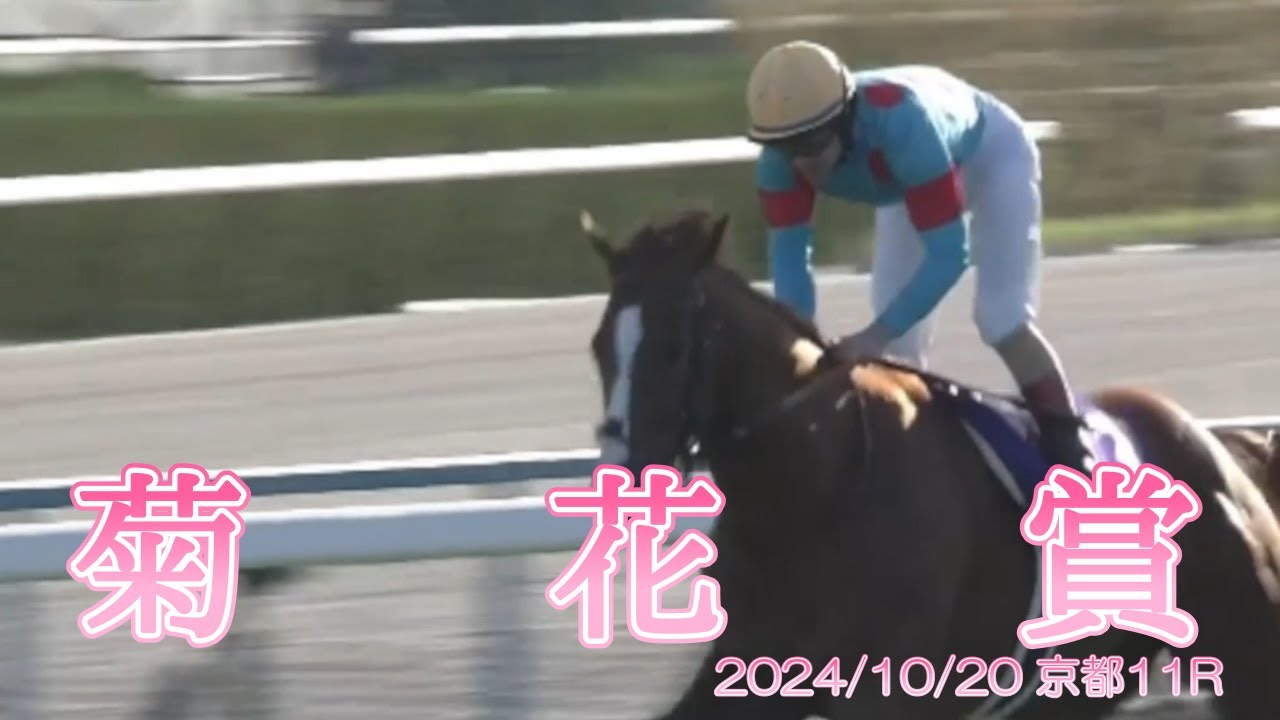 【有馬記念参考レース(#^.^#)】2024/10/20  京都11R　　菊花賞　　＃アーバンシック