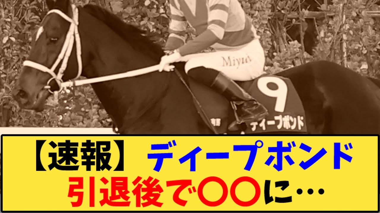 【競馬】「【速報】ディープボンド   引退後は誘導場に…」に対する反応【反応集】