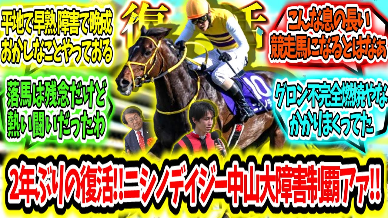 『2年ぶりの復活‼ニシノデイジー中山大障害制覇アァ‼』に対するみんなの反応【競馬の反応集】