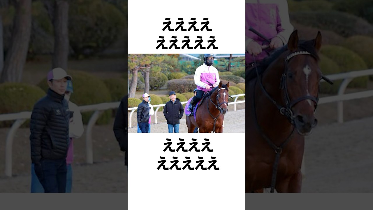 【悲報】ドウデュース…出走取り消し。