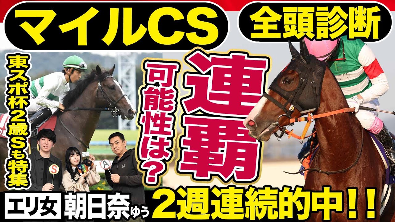 【マイルＣＳ2024】全頭診断！ナミュール連覇の可能性は？Ｃ評価でも侮れない穴馬を競馬記者が解説《東スポ競馬》