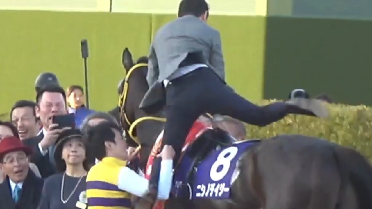 【勝浦正樹氏が中山大障害を勝利後のニシノデイジー号に颯爽と飛び乗る】2024年12月21日（土）中山競馬場