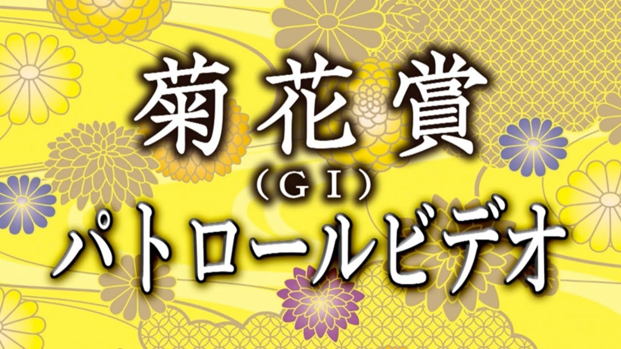 菊花賞2024 パトロールビデオ