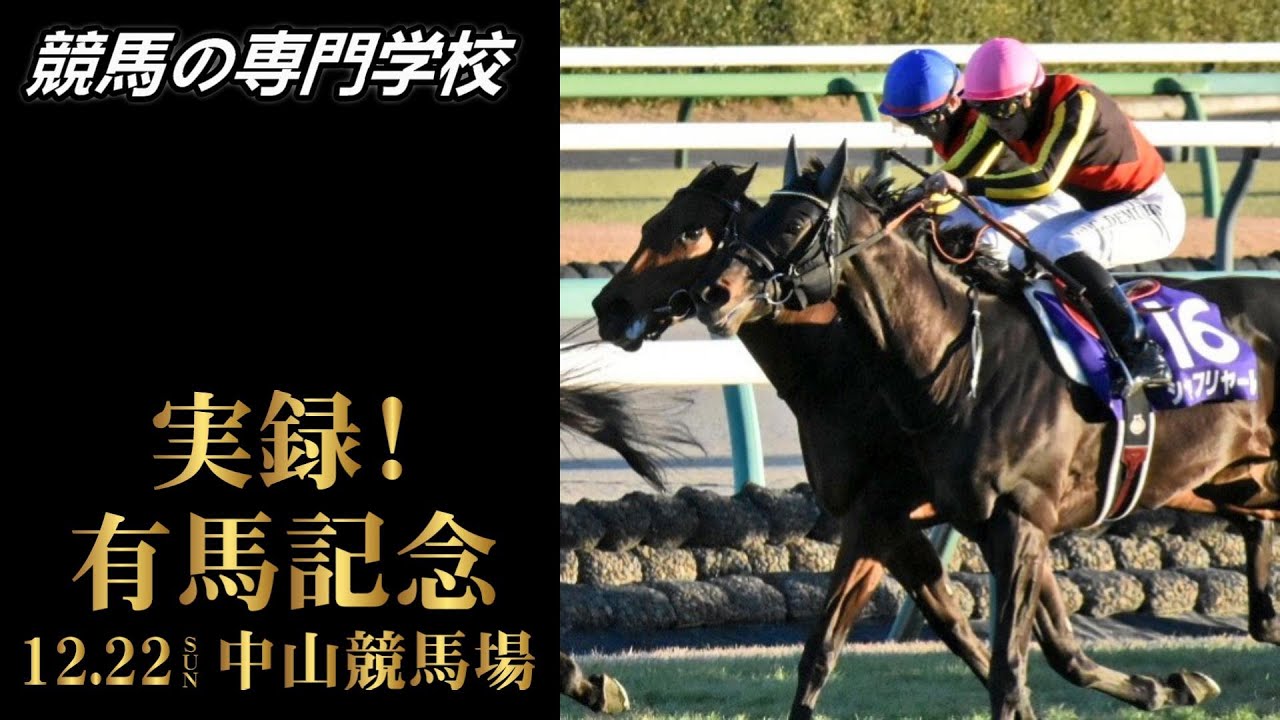 【実録！有馬記念】競馬の専門学校校長キーンの有馬記念観戦模様です