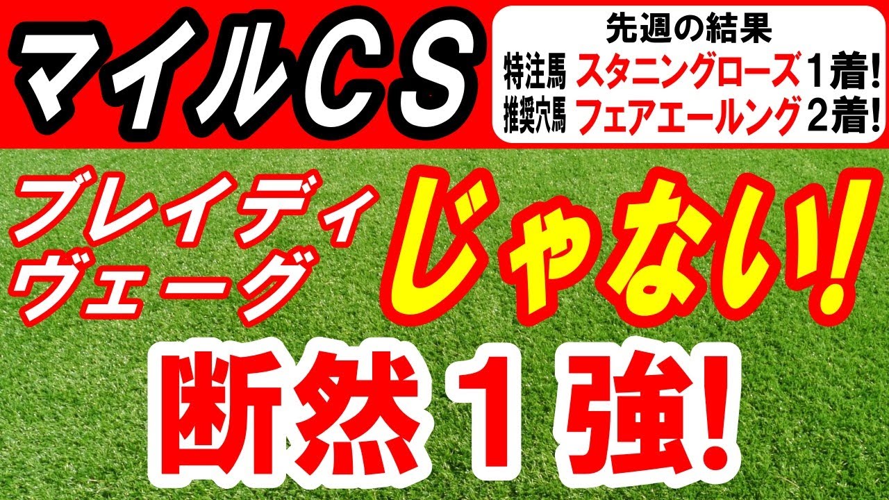 【 マイルＣＳ 2024 】 ブレイディヴェーグじゃない！断然１強！（マイルチャンピオンシップ）