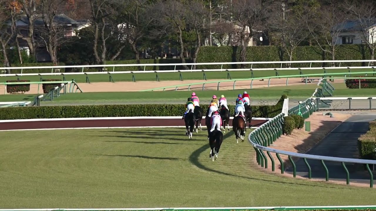 第147回中山大障害