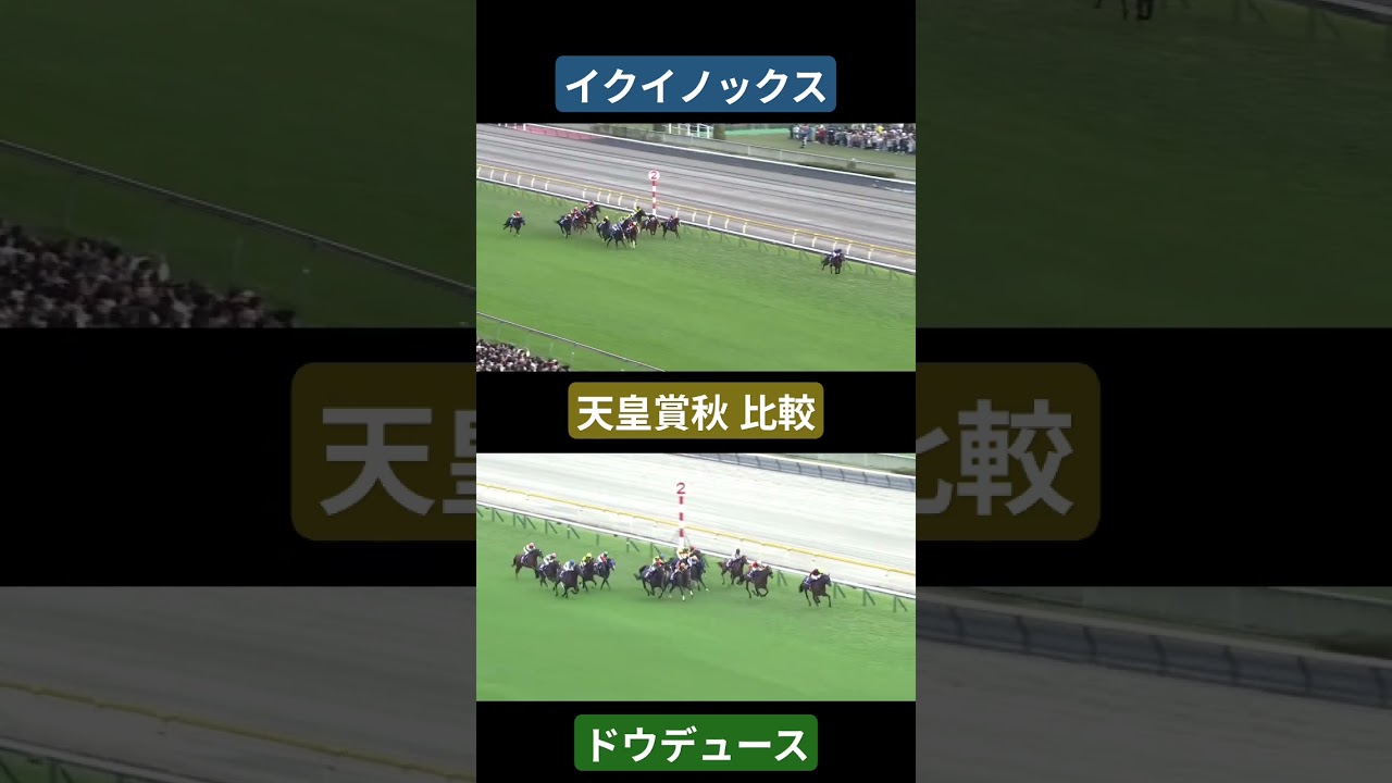 ドウデュース＆イクイノックス 天皇賞秋 比較 #競馬 #天皇賞秋#ドウデュース#イクイノックス#shorts