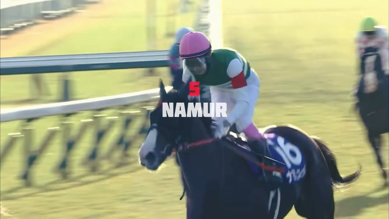 【競馬MAD】安田記念2024 煽りVTR風