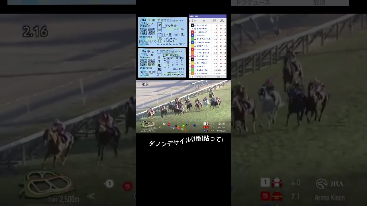 【2年連続有馬的中へ！】本命馬＆対抗馬が激走！！あとは、相手が来れば…#有馬記念2024