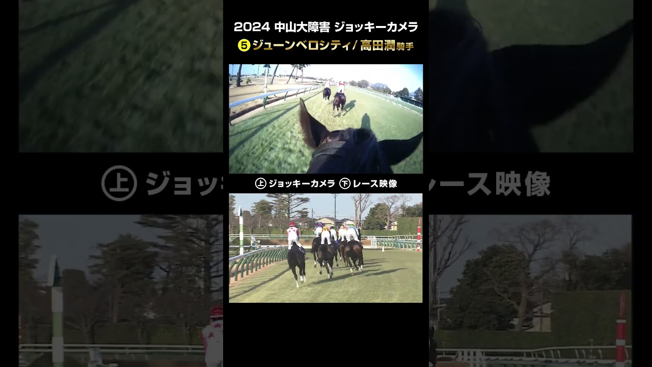 【ジョッキーカメラ×レース映像】2024年中山大障害 ジューンベロシティ 高田潤騎手 #shorts ｜JRA公式
