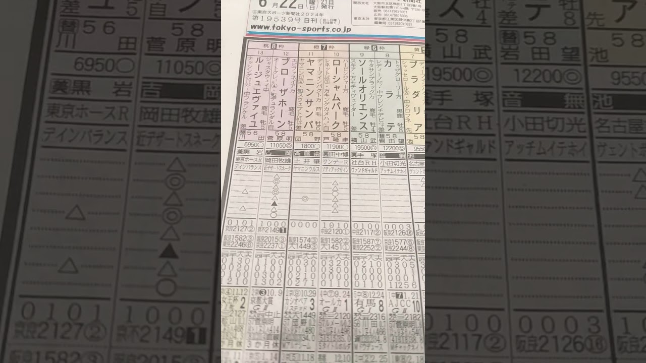 競馬予想(宝塚記念)