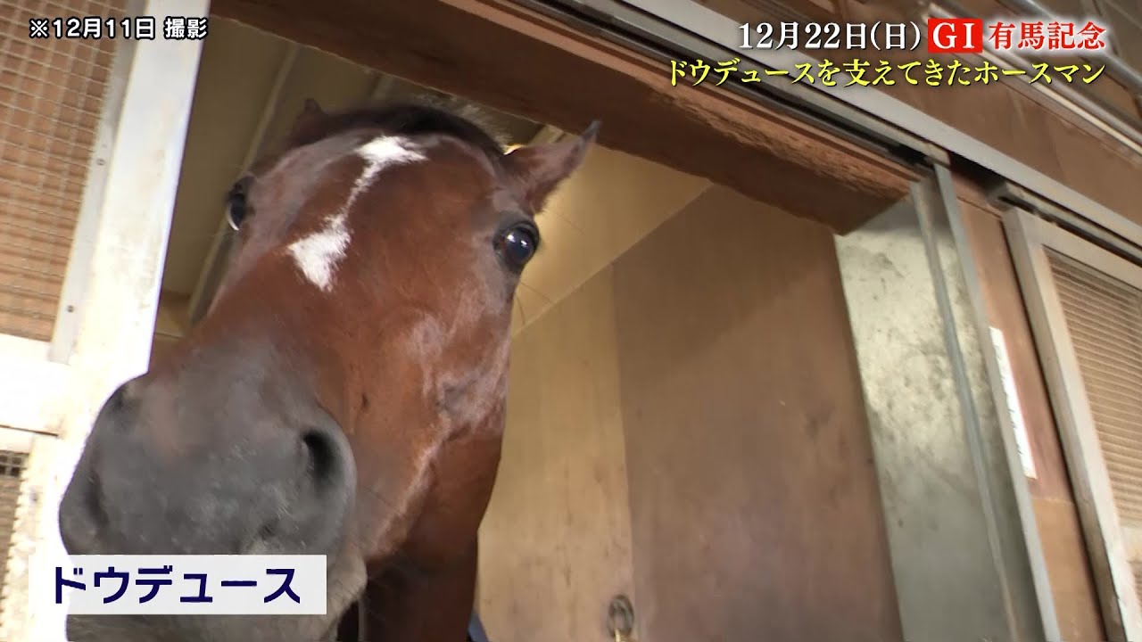 【有馬記念】ドウデュースを支えてきたホースマン 友道康夫厩舎 大江祐輔調教助手に密着