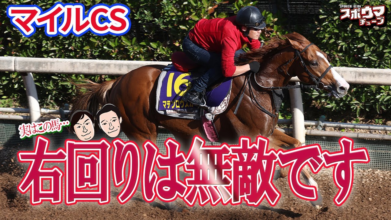 スポニチ競馬予想【マイルCS】空高くそびえるモーリス産駒　田村記者確信のガチ予想！ 栗林記者は堅実に　#マイルCS　#スポニチ記者がガチ予想 #スポウマチューブ