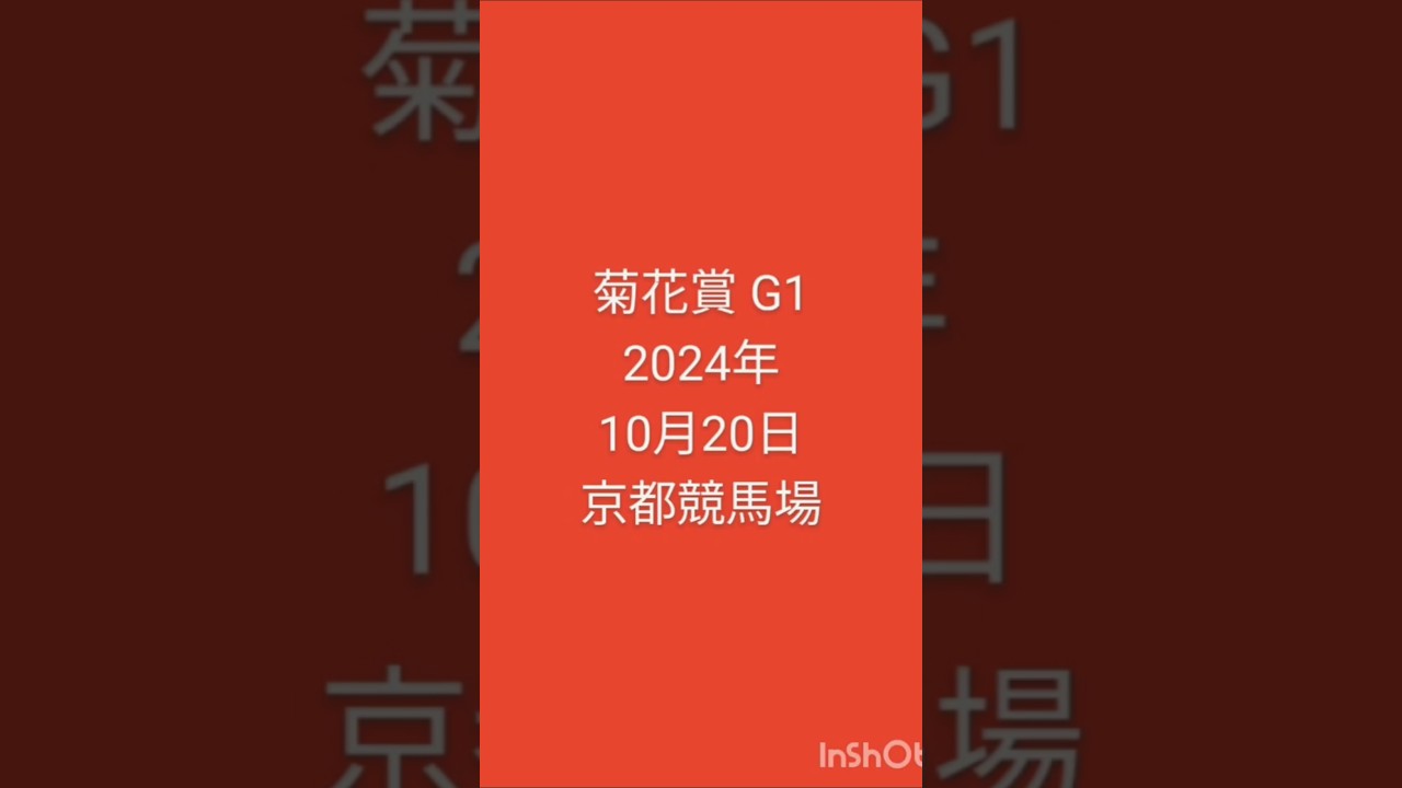 #競馬 #菊花賞 2024年10月20日