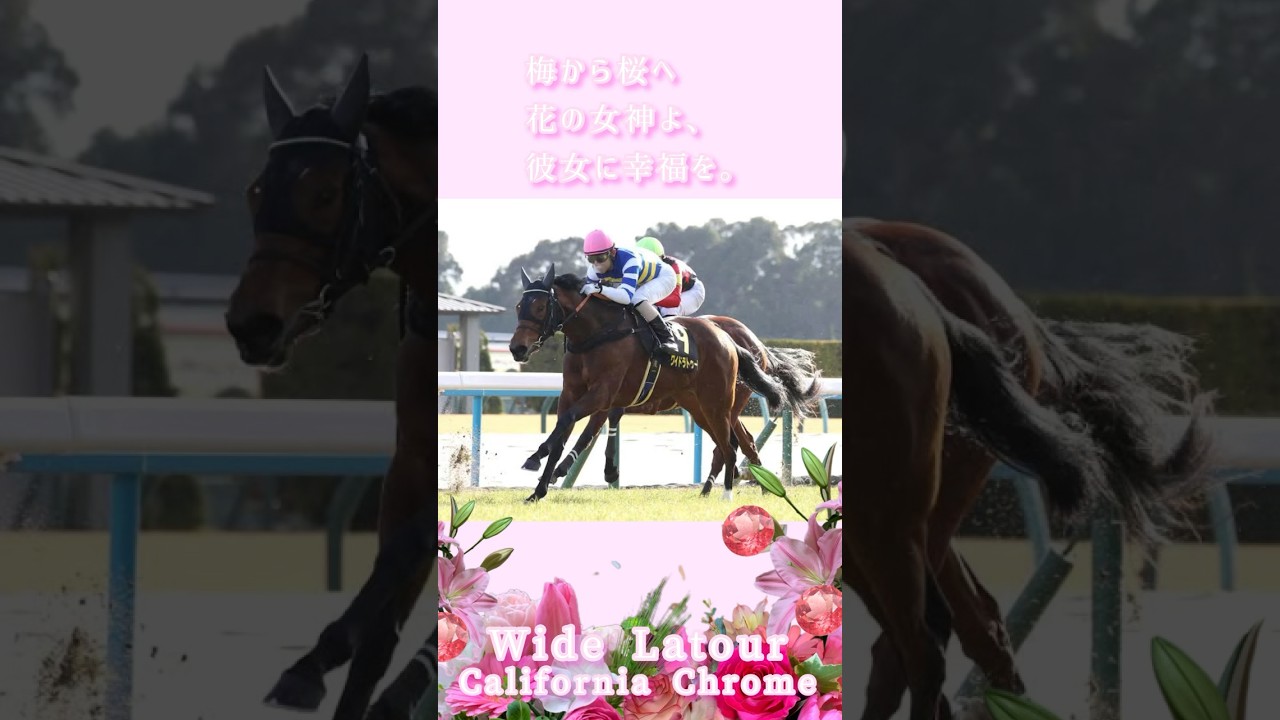 『桜花賞2024』カリフォルニアクローム産駒ワイドラトゥール🌸✨