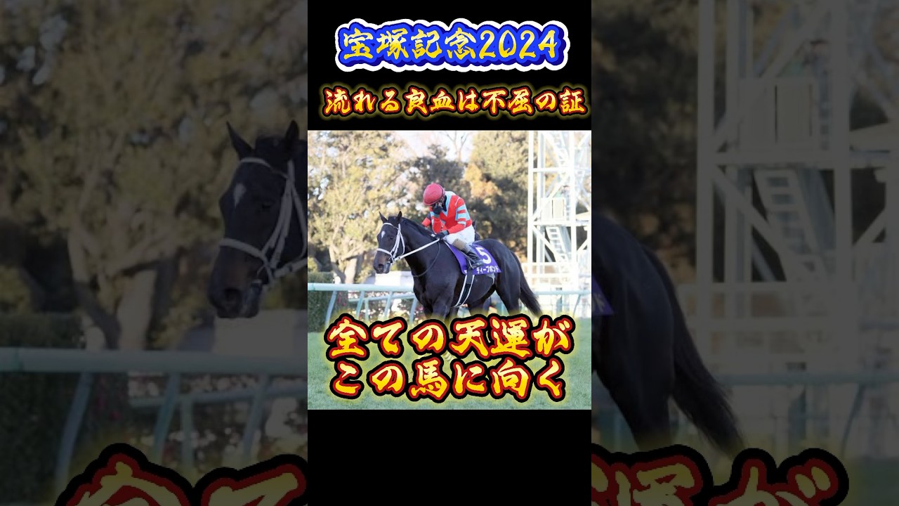 【宝塚記念2024 流れる良血は不屈の証 全ての天運がこの馬に向く #ディープボンド 】 #競馬 #競馬予想 #宝塚記念2024 #shorts