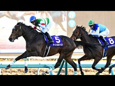 第35回　ホープフルＳ(G1)　芝右2000m　サートゥルナーリア　牡2　55　Ｍ.デムーロ　2018.12.28　出走馬：アドマイヤジャスタ、ニシノデイジー、コスモカレンドゥラ、ブレイキングドーン他