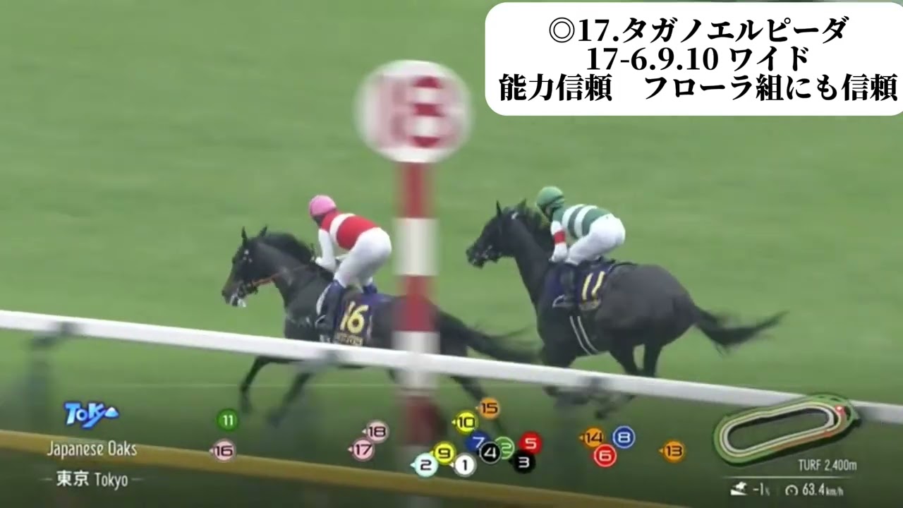 オークス、優駿牝馬の結果です〜日曜日で！？奇跡…！