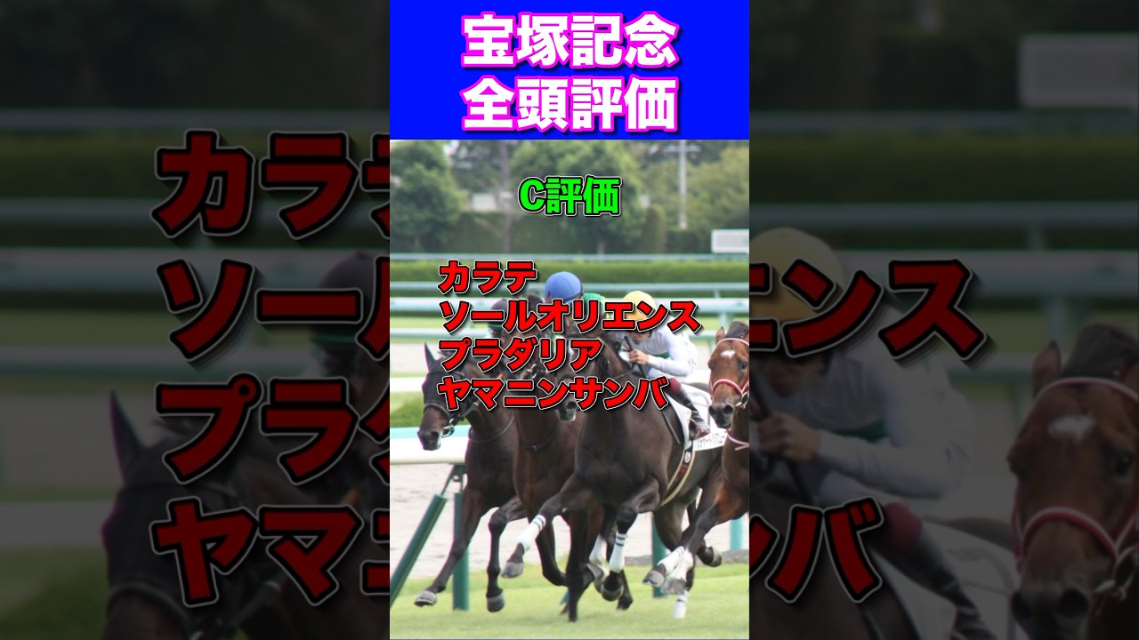 【宝塚記念2024】全頭評価
