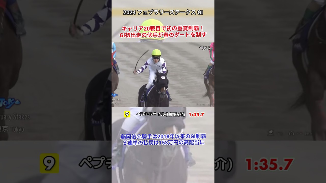 【フェブラリーステークス2024】伏兵ペプチドナイルが強敵を抑え春のダート王者に輝く！3連単は153万円の高配当に！#競馬 #jra #gi #フェブラリーステークス #ペプチドナイル