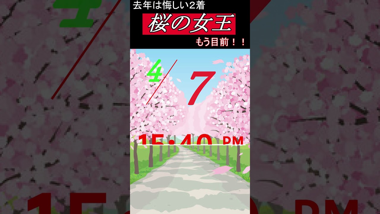 【 2024 桜花賞 】注目馬１分紹介『 日曜日版 』ぶっつけ本番で挑め！桜の女王へ！（ ステレンボッシュ ）