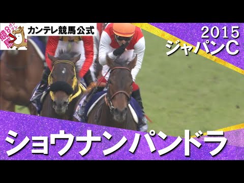 【レース史上に残る大激戦】2015年 ジャパンカップ (GⅠ) ショウナンパンドラ【カンテレ公式】